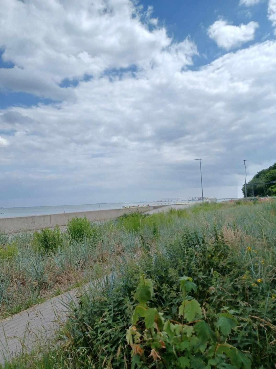 Domek Holenderski, Ogrod, Blisko Plazy, Gdynia Wakacje Na Luzie Bagian luar foto
